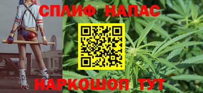 индика Назарово