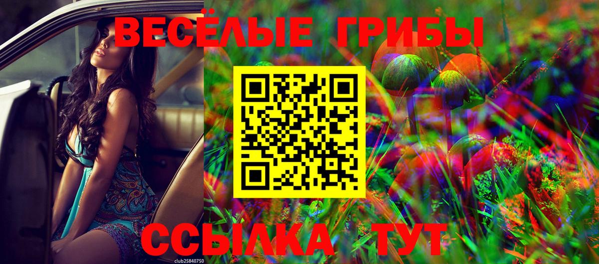 Псилоцибиновые грибы прущие грибы Карталы